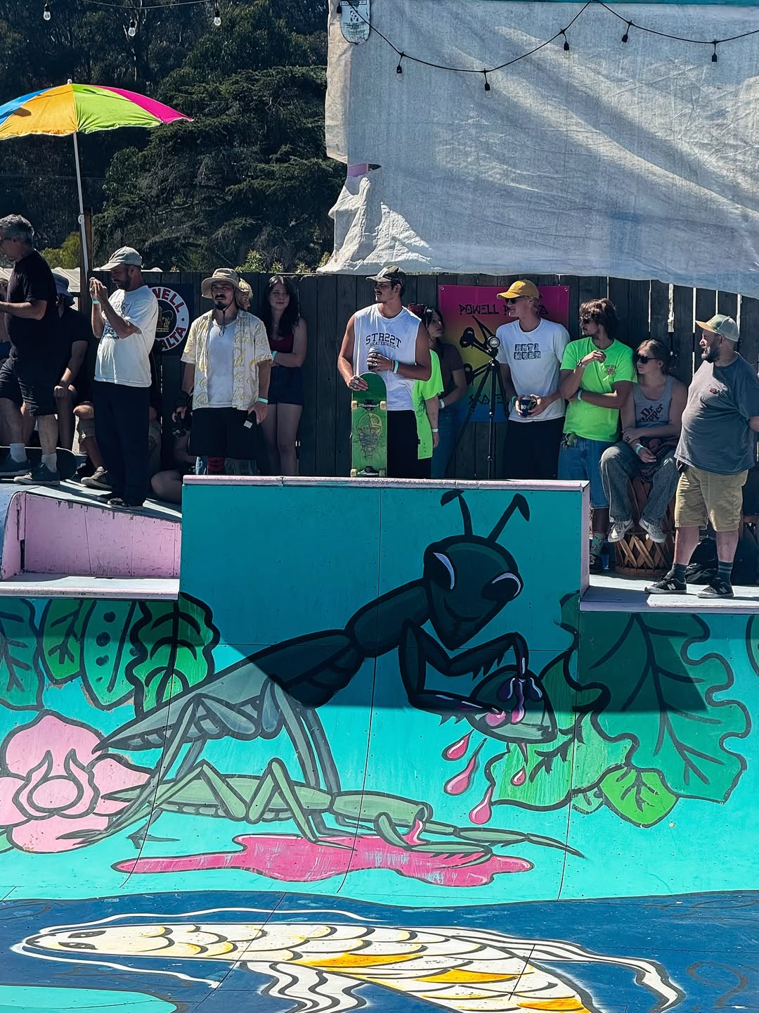 SOMBER SAM 8.75'' DECK.