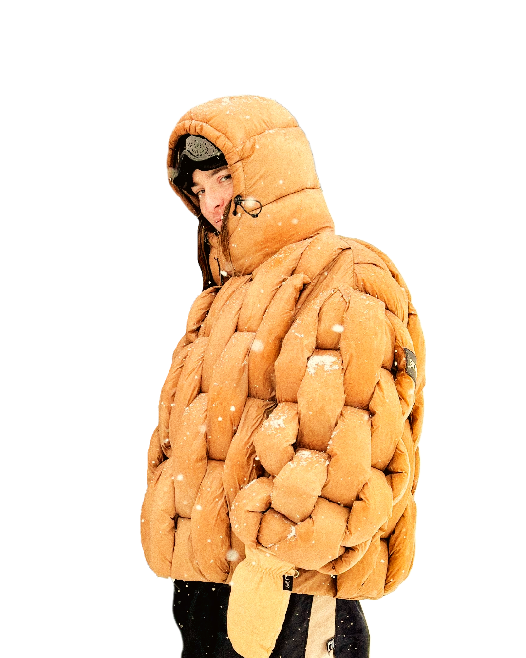 CALIFORNIA RIVER PUFFER - BROWN