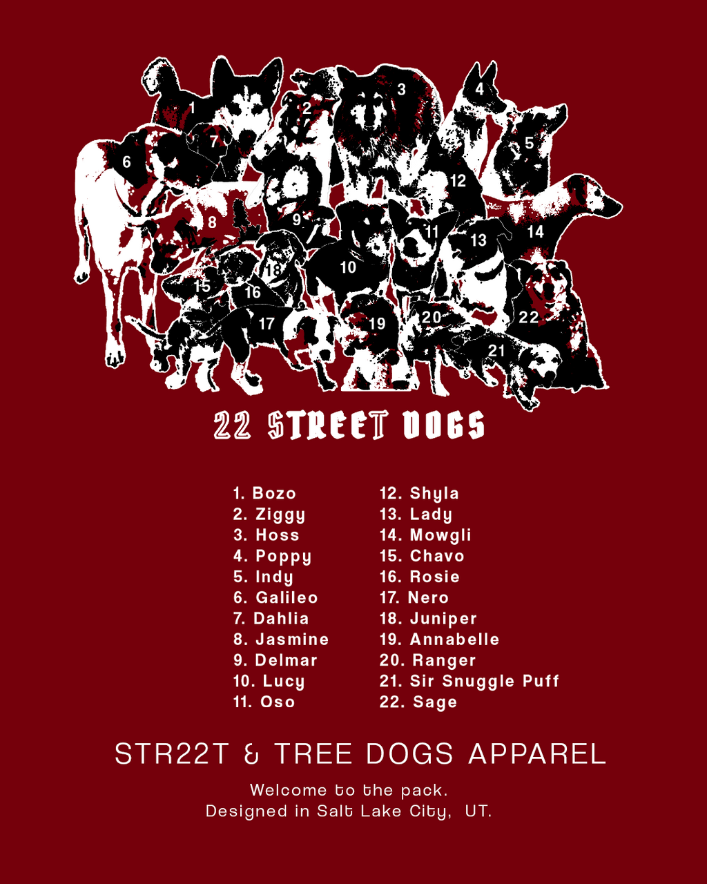 22 STREET DOGS - BURGUNDY HOODIE