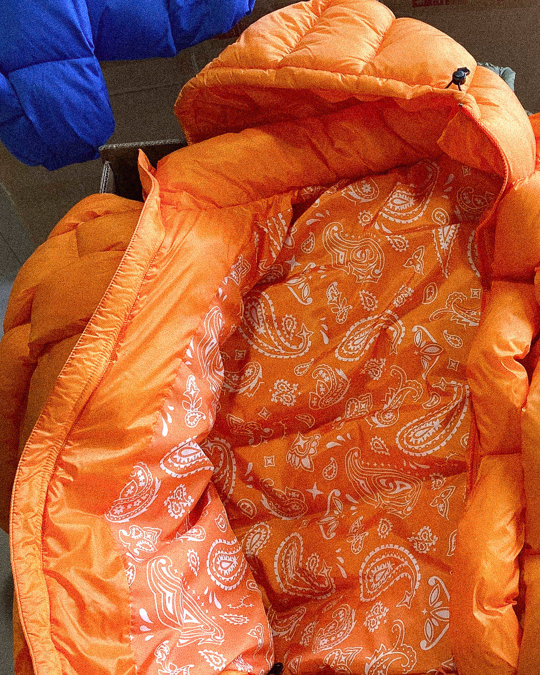 CALIFORNIA RIVER PUFFER - ORANGE